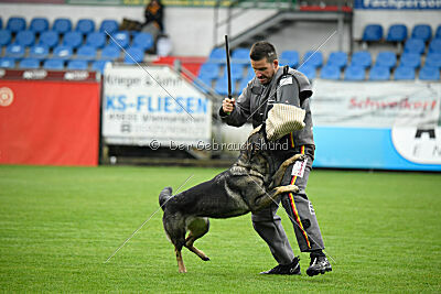 Tika van Arne`s Hoeve